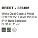 NOVA LUCE stropní svítidlo BREST stropní svítidlo bílé opálové sklo a kov E27 2x12W 832402