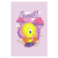 Umělecký tisk Tweety - Sweet, (26.7 x 40 cm)