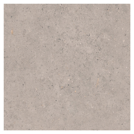 Dlažba Pastorelli Biophilic grey 60x60 cm mat P009455 Graniti Fiandre