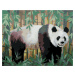 Malování podle čísel - PANDA A BAMBUS (D. RUSTY RUST) Rozměr: 40x50 cm, Rámování: vypnuté plátno