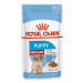 Royal Canin Medium puppy kapsička 10x140 g