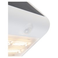 Venkovní nástěnné svítidlo bílé 21,5 cm s potkávacím světlem a senzorem na solární - Daya