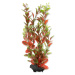 Tetra rostlina Red Ludwigia 23 cm