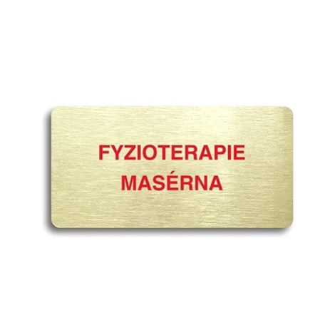 Accept Piktogram "FYZIOTERAPIE - MASÉRNA" (160 × 80 mm) (zlatá tabulka - barevný tisk bez rámečk