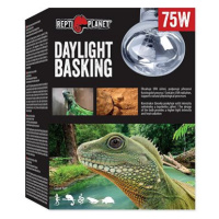 Repti Planet žárovka Daylight Basking Spot 75 W