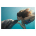 Fotografie Young Woman Kisses Dolphin Underwater, Sunbeams, Justin Lewis, 40 × 26.7 cm