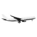 Fotografie White passenger aircraft cut out, fhm, 40 × 26.7 cm