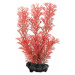Dekorace Tetra Rostlina Foxtail Red S 15cm