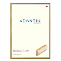 DANTIK rámeček 42 × 59,4, EVOQUE žlutý plexi čiré