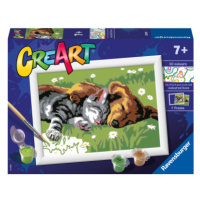 Malování podle čísel CreArt Spící pes a kočka