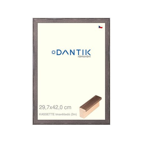 DANTIK rámeček 29,7 × 42, KASSETTE tmavěšedý plexi čiré