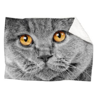 IMPAR Beránková deka Kočičí pohled, 200 × 140 cm