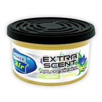 Power Air Extra Scent Spring Flowers 42g