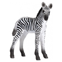Animal Planet Zebra mládě