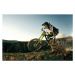 Fotografie Female biker jumping on her mountain bike., Daniel Milchev, 40x26.7 cm