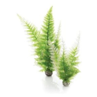 biOrb Aquatic Zima fern set 2