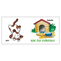 Kde žijí zvířátka?