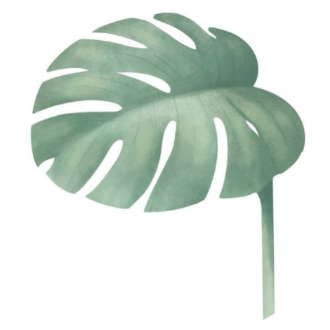 Plakát na stěnu MONSTERA do dětského pokoje Zvolte rozměr: 30 x 40 cm