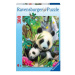 Ravensburger Panda 300d