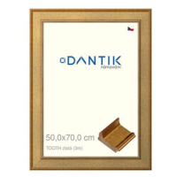 DANTIK rámeček 50 × 70, TOOTH zlatý plexi čiré