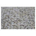 Vopi koberce Kusový koberec Wellington béžový čtverec - 250x250 cm