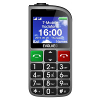 Evolveo EasyPhone FM stříbrná