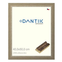 DANTIK rámeček 40 × 50, LYON stříbrný sklo čiré