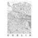 Mapa Dublin, Hubert Roguski, (30 x 40 cm)