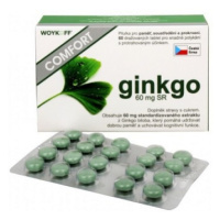 GINKGO COMFORT 60 mg SR - Woykoff 60 tabliet