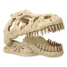 Dekorace Repti Planet T-REX lebka 13,3x8,5x9cm