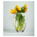 Crystalex Skleněná váza, 15,5 x 22,5 cm