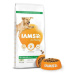 IAMS Dog Adult Large Lamb 12 kg