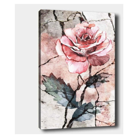 Nástěnný obraz na plátně Tablo Center Rose, 40 x 60 cm Vavien Artwork