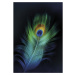 Dekoria Obraz na plátně Peacock Eye, 50 x 70 cm
