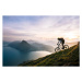 Fotografie Mountain biker descends steep mountain slope, Milo Zanecchia/ Ascent Xmedia, 40 × 26.