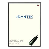 DANTIK rámeček 30 × 40, ALU profil 7002 Šedý leský plexi čiré