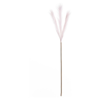 Dekoria Pampová tráva 100cm light pink, 2 x 2 x 100 cm