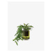 Samozavlažovací květináč Balcony, v. 19 cm, Ø16 cm, čirá/olivově zelená - LSA international