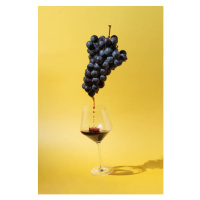 Fotografie Still life with black grapes and, Amax Photo, 26.7x40 cm