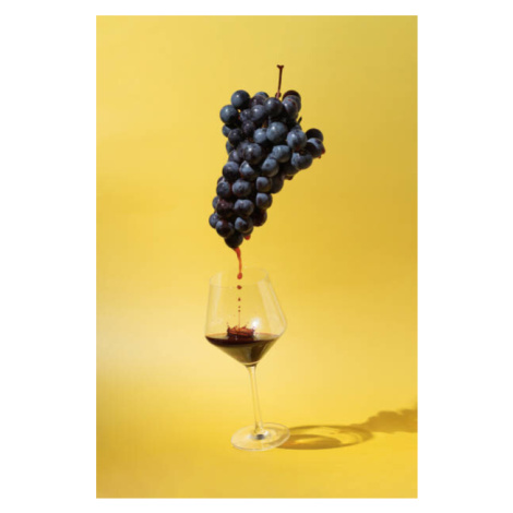 Fotografie Still life with black grapes and, Amax Photo, 26.7 × 40 cm