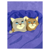 Ilustrace Cats in Bed, Raissa Oltmanns, (30 x 40 cm)