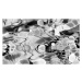 Umělecká fotografie Abstract Fluid Black and White Flowing, oxygen, (40 x 24.6 cm)