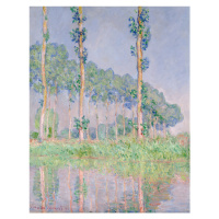 Obrazová reprodukce Poplars, Pink Effect (1891), Claude Monet, 30 × 40 cm