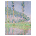 Obrazová reprodukce Poplars, Pink Effect (1891), Claude Monet, 30 × 40 cm