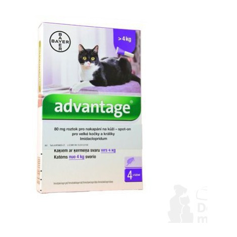 Advantage 80 10% 4x0,8ml pro kočky nad 4kg