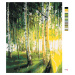 Malování podle čísel - BŘÍZY V PROSVĚTLENÉM LESE Rozměr: 40x50 cm, Rámování: vypnuté plátno na r