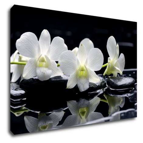 Impresi Obraz Bílé orchidee na černém pozadí - 90 x 60 cm