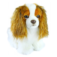 Plyšový pes King Charles Španěl, 20 cm