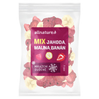 Allnature Mix lyofilizovaného ovoce - jahoda, malina, banán 100 g