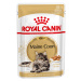 Royal Canin Maine Coon Adult - 12 x 85 g